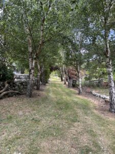 Tree-lined walkways at the retreat