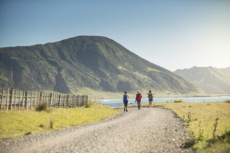 Tora Coastal Walk located about 40 minutes away from River Retreat