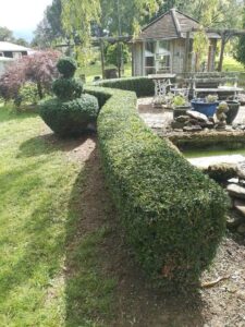Enjoy the beautiful topiary and Pagoda