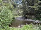 The serene beauty of the Ruakōkopatuna River